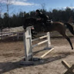 Meet your Posher, Hannah